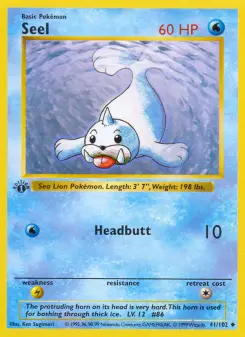 Seel 41 — Base