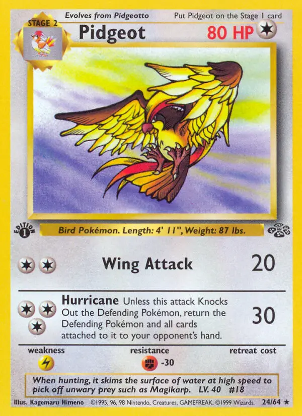 Pidgeot 24 card from Jungle