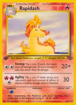 Rapidash 44 — Jungle