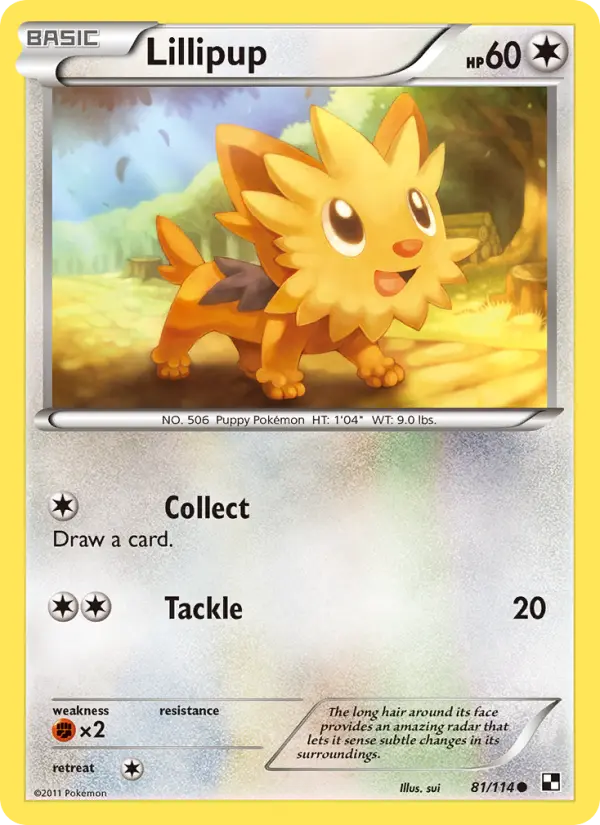 Lillipup 81 — Black & White 81, Normal finish