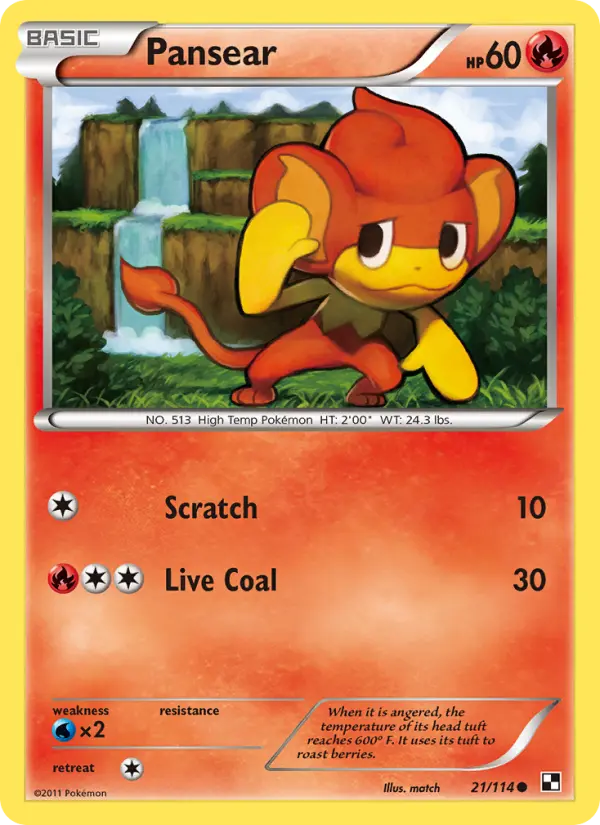 Pansear 21 card from Black & White