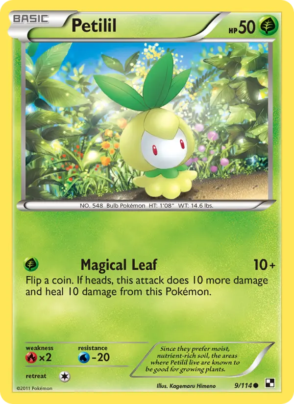 Petilil 9 card from Black & White