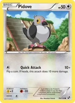 Pidove