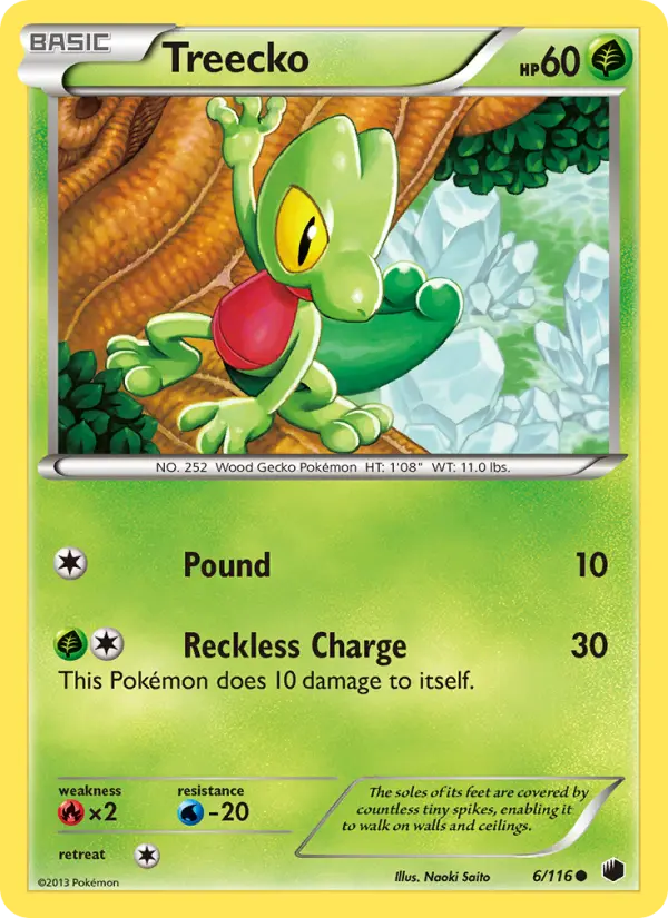 Treecko 6 — Plasma Freeze 6, Normal finish