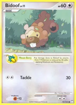 Bidoof 73 — Mysterious Treasures