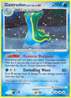 Gastrodon East Sea 8 — Secret Wonders