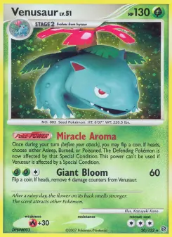 Venusaur — Secret Wonders #20
