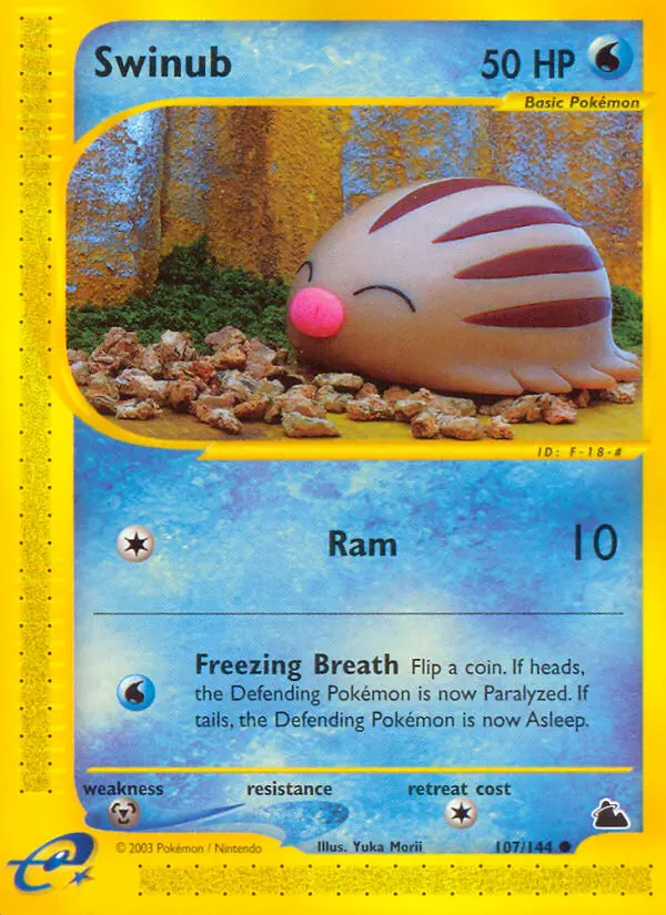 Swinub 107 card from Skyridge
