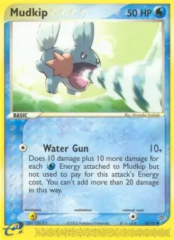 Mudkip 65 — Dragon