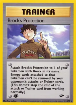 Brock's Protection 101 — Gym Challenge