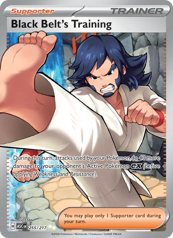 Black Belt's Training 255 — Ascended Heroes 255, Holofoil finish