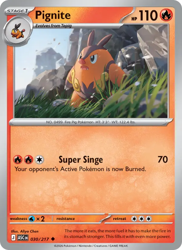 Pignite 30 — Ascended Heroes 30, Reverse Holofoil finish