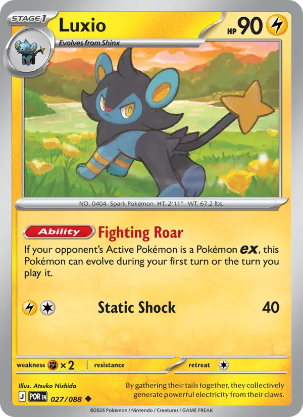 Luxio 27 card from Perfect Order
