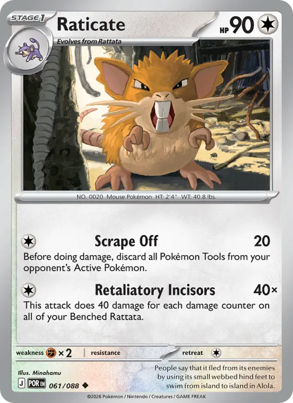 Raticate 61 — Perfect Order 61, Normal finish