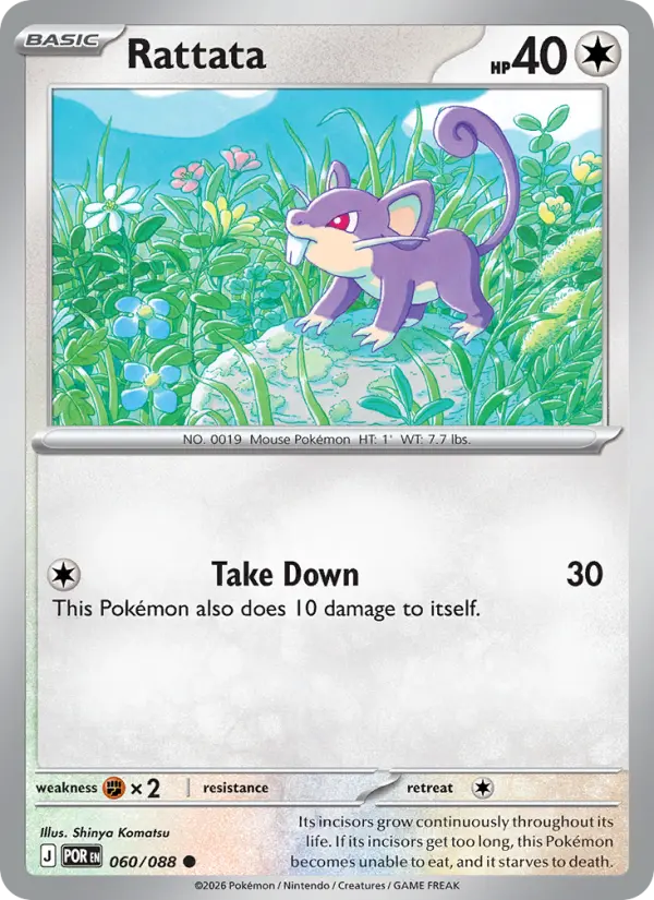 Rattata 60 — Perfect Order 60, Normal finish