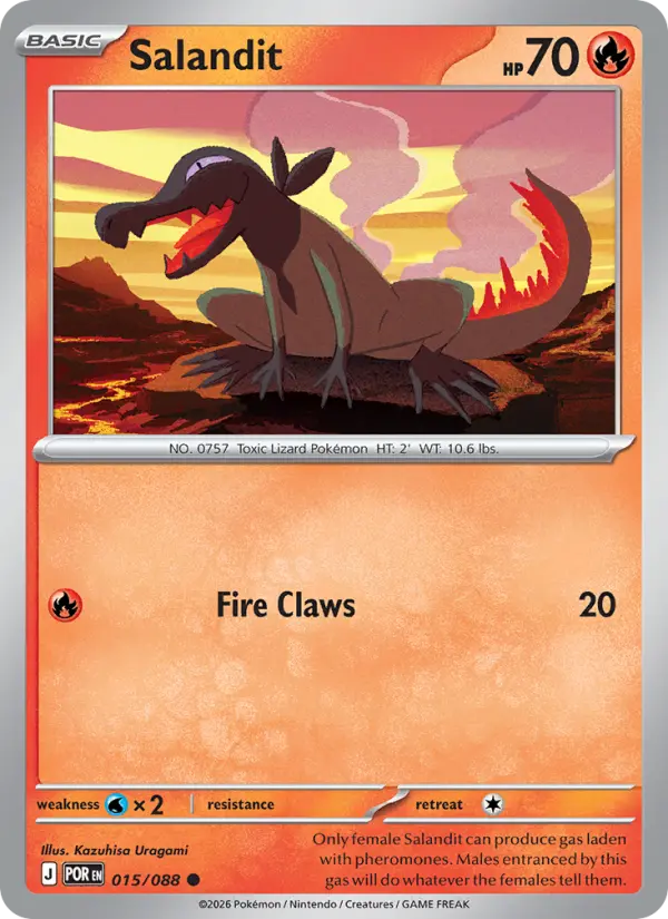 Salandit 15 — Perfect Order 15, Normal finish