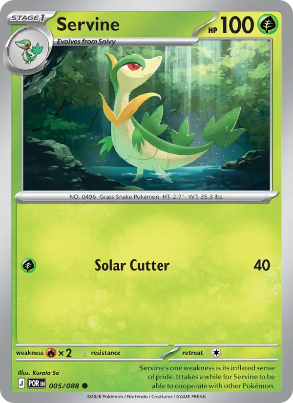 Servine 5 card from Perfect Order