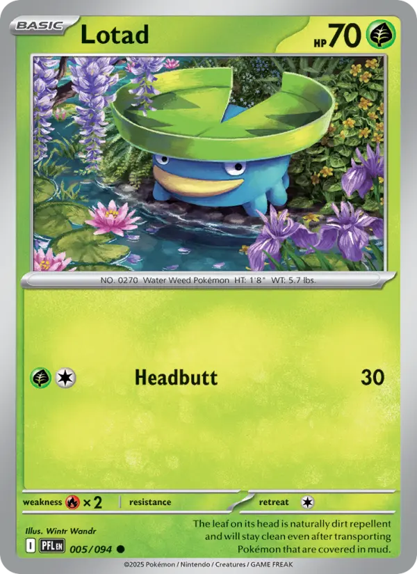 Lotad 5 card from Phantasmal Flames