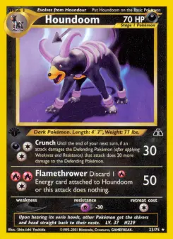Houndoom 23 — Neo Discovery