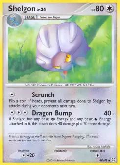 Shelgon 48 — Arceus