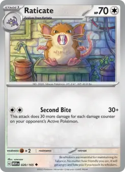 Raticate — 151 #20