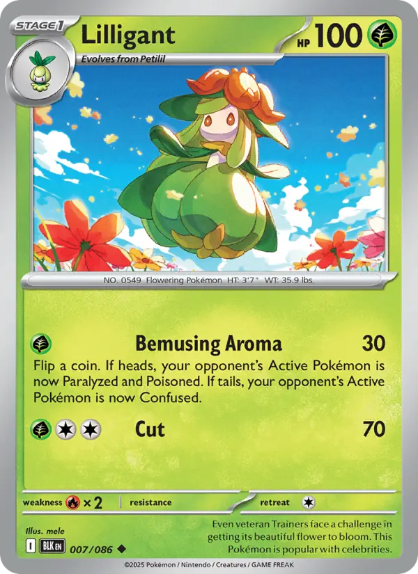 Lilligant 7 — Black Bolt 7, Holofoil finish