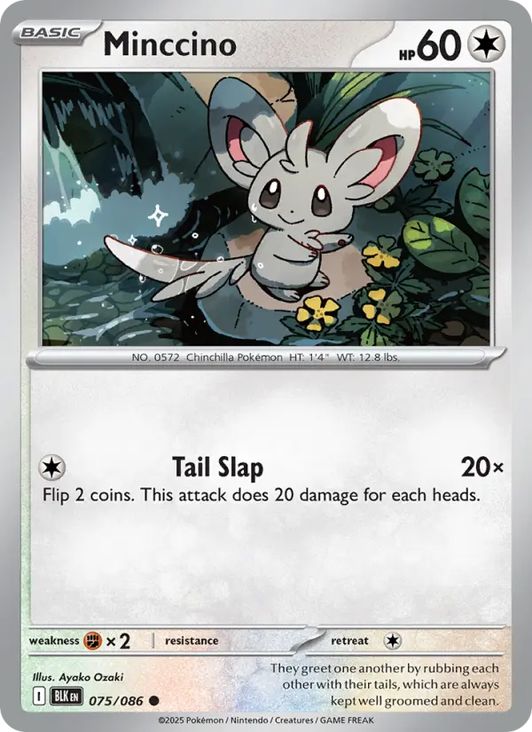 Minccino 75 card from Black Bolt