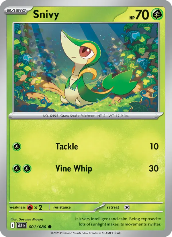 Snivy 1 card from Black Bolt