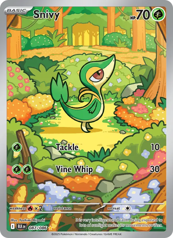 Snivy 87 card from Black Bolt