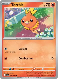 Torchic — Destined Rivals #40