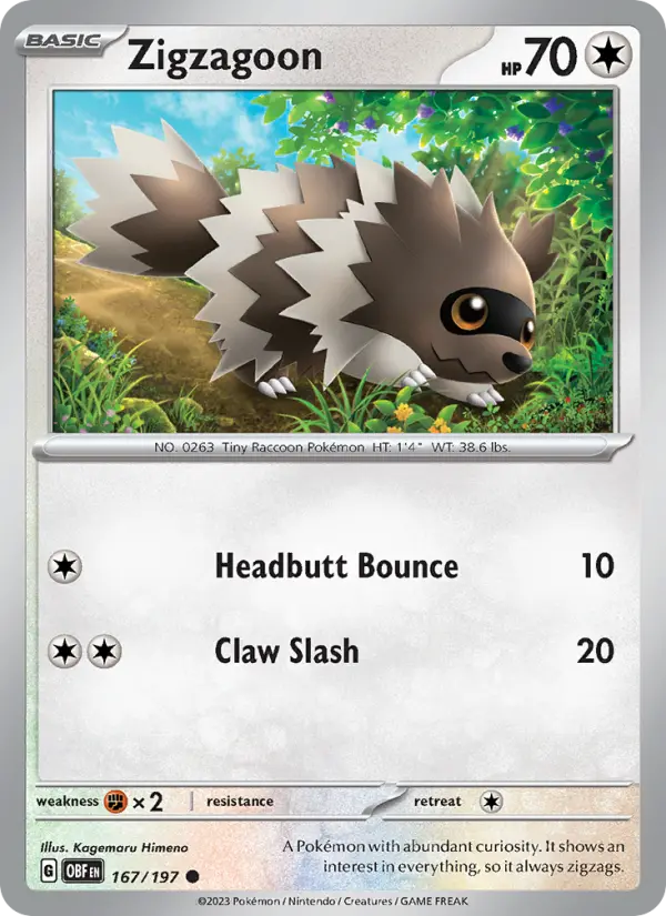 Zigzagoon 167 card from Obsidian Flames