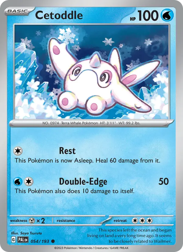 Cetoddle 54 card from Paldea Evolved