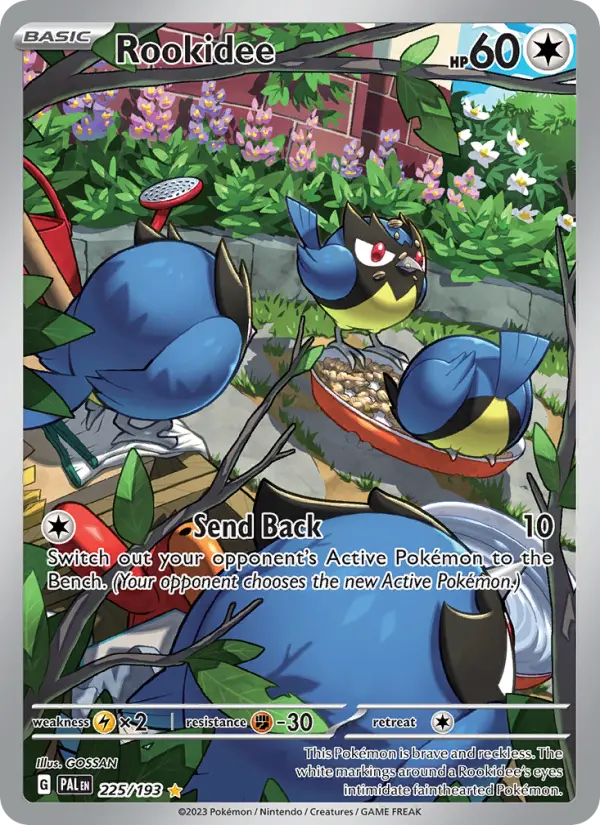 Rookidee 225 — Paldea Evolved 225, Holofoil finish