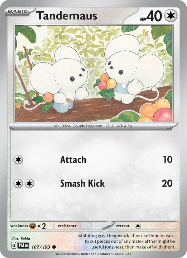 Tandemaus 167 card from Paldea Evolved
