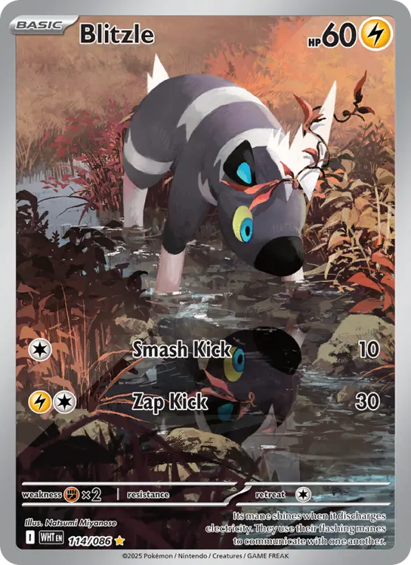 Blitzle 114 card from White Flare
