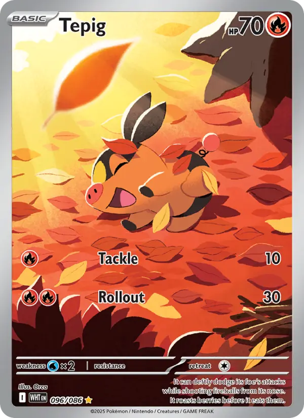Tepig 96 card from White Flare