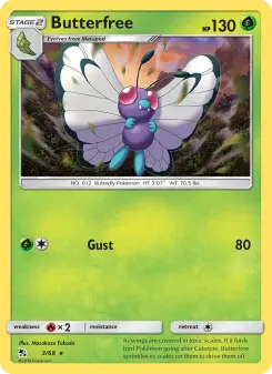 Butterfree 3 — Hidden Fates