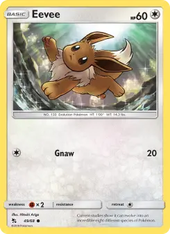 Eevee 49 — Hidden Fates