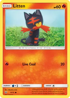 Litten 15 — McDonald's Collection 2021