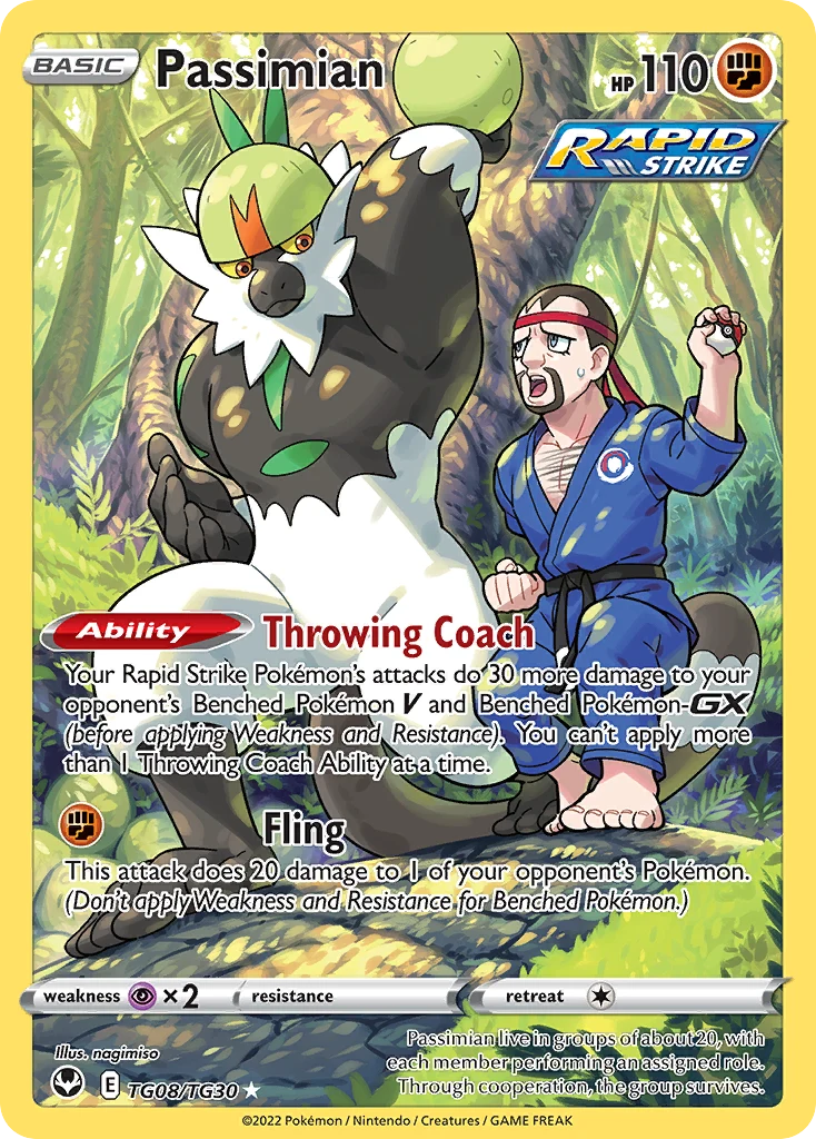 Passimian TG08 — Silver Tempest Trainer Gallery TG08, Holofoil finish