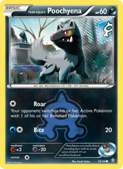 Team Aqua's Poochyena 16 — Double Crisis