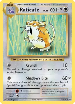 Raticate — Evolutions #67