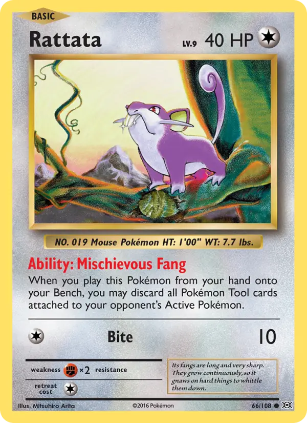 Rattata 66 card from Evolutions