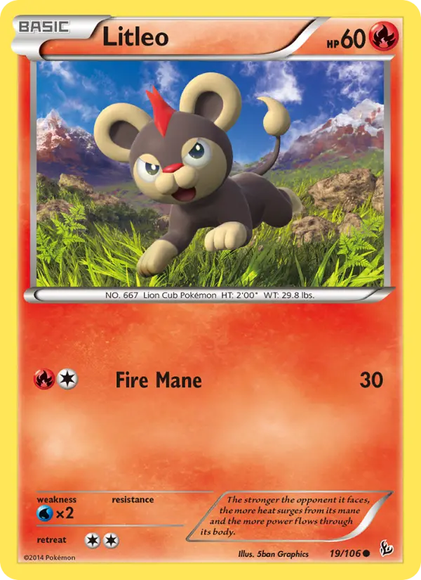 Litleo 19 card from Flashfire