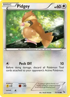 Pidgey 75 — Flashfire