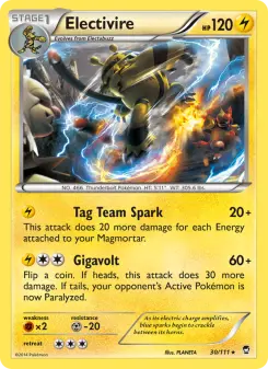 Electivire 30 — Furious Fists