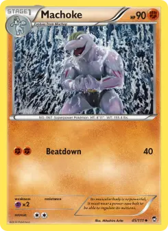 Machoke 45 — Furious Fists