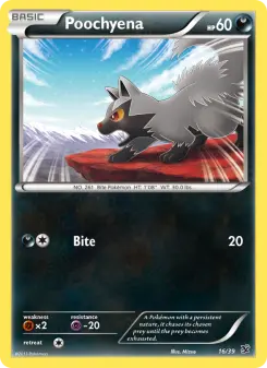 Poochyena 16 — Kalos Starter Set