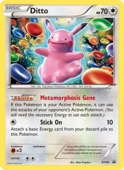 Ditto — XY Black Star Promos #XY40
