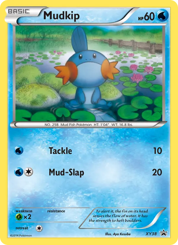 Mudkip XY38 card from XY Black Star Promos